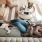 overhead view of  a woman texting as she lies on a couch with a dog at her feet